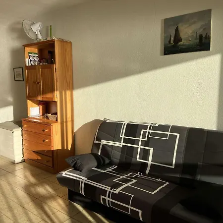 3p, Parking, Calme, Lave-linge, Lave-vaisselle, Animaux Admis - Fr-1-702-35 Apartamento Agde