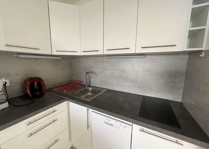 Appartamento 3p, Parking, Calme, Lave-linge, Lave-vaisselle, Animaux Admis - Fr-1-702-35