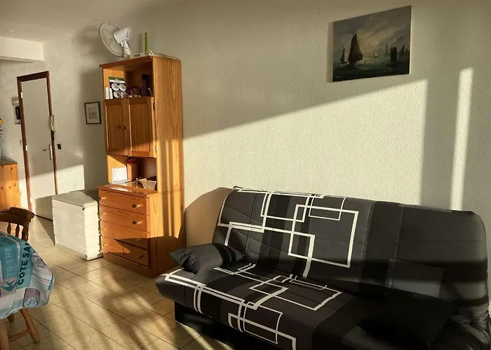 3p, Parking, Calme, Lave-linge, Lave-vaisselle, Animaux Admis - Fr-1-702-35 Appartamento Agde